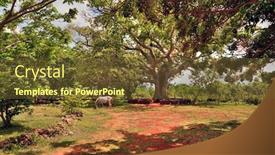  Presentation with grazing - Presentation theme enhanced with horse-who-is-grazing-under background and a tawny brown colored foreground
