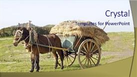  Presentation with old fashioned - Slides with horse with old fashioned cart background and a sky blue colored foreground