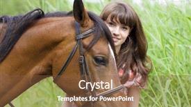  Presentation with horse - Cool new slides with plastic food box isolated on white background backdrop and a white colored foreground