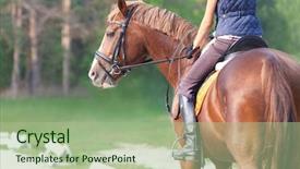  Presentation with stallion - Audience pleasing slide set consisting of portrait of a thoroughbred stallion backdrop and a mint green colored foreground