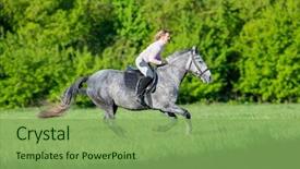  Presentation with horse riding - PPT layouts having horseback riding woman riding background and a seafoam green colored foreground