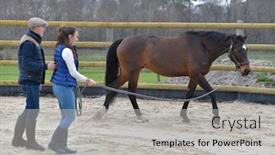 Presentation with apprentice - Beautiful PPT layouts featuring horseman-with-apprentice-leading-horse backdrop and a light gray colored foreground