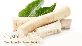  Presentation with root - Audience pleasing presentation theme consisting of antioxidant - horseradish with grated root backdrop and a cream colored foreground