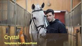  Presentation with horse riding - Audience pleasing slide deck consisting of horses - man holds horse by bridle backdrop and a tawny brown colored foreground