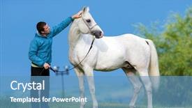  Presentation with horse - Slides featuring arabian horses - young man with horse background and a teal colored foreground