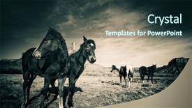  Presentation with base - Colorful presentation theme enhanced with horses-at-base-of-colorado backdrop and a tawny brown colored foreground