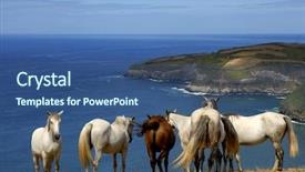  Presentation with horses - Amazing PPT theme having horses at the coast backdrop and a ocean colored foreground