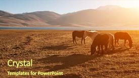  Presentation with ladakh - Beautiful PPT theme featuring horses eating grass at tsomoriri lake during beautiful sunrise ladakh northern india backdrop and a tawny brown colored foreground
