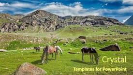  Presentation with himachal pradesh - Slides with horses grazing in himalayas lahaul valley himachal pradesh india background and a tawny brown colored foreground