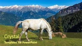  Presentation with himachal pradesh - PPT theme featuring horses-grazing-in-himalayas-mountains background and a tawny brown colored foreground