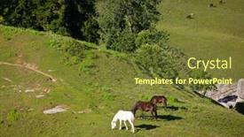  Presentation with himachal pradesh - PPT theme with horses grazing in himalayas mountains kullu valley himachal pradesh india background and a tawny brown colored foreground
