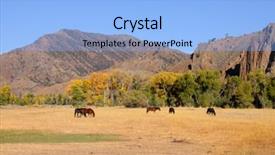  Presentation with wyoming - Slides enhanced with horses grazing in prairies in wyoming background and a light blue colored foreground