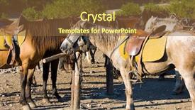  Presentation with ranch - Colorful theme enhanced with horses-in-a-ranch backdrop and a tawny brown colored foreground