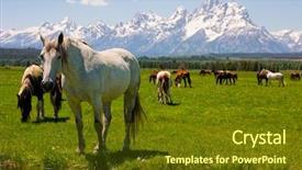  Presentation with teton - Presentation with horses in grand teton national background and a tawny brown colored foreground