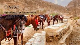  Presentation with petra jordan - Amazing slide set having giordano bruno - horses in petra jordan backdrop and a coral colored foreground