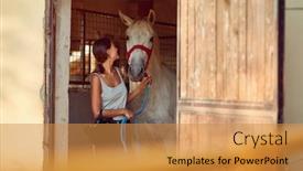  Presentation with horse - Cool new PPT layouts with horses in stable young woman taking care about a horse on an animal ranch backdrop and a gold colored foreground