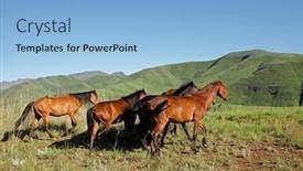  Presentation with green mountains - Amazing theme having horses in the green foothills of the drakensberg mountains south africa backdrop and a light blue colored foreground