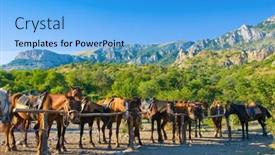  Presentation with ranch - Beautiful PPT theme featuring horses on a ranch in mountains backdrop and a light blue colored foreground
