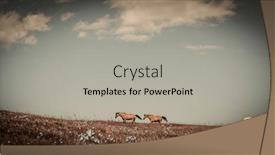  Presentation with horses - Slide set with horses-on-a-summer-meadow background and a light gray colored foreground