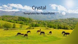  Presentation with meadow - Colorful slide deck enhanced with horses on green meadow backdrop and a light blue colored foreground