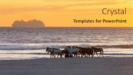  Presentation with horses - 
