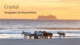  Presentation with horses - Slide set with horses-on-the-ocean-beach background and a blonde colored foreground