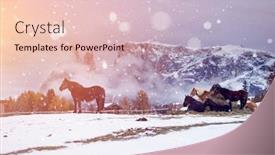  Presentation with horses - Colorful slide set enhanced with horses-on-the-winter-meadow backdrop and a lemonade colored foreground