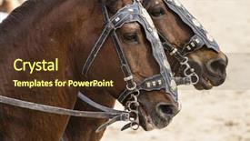  Presentation with roman army - Presentation consisting of horses roman chariot background and a tawny brown colored foreground