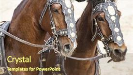  Presentation with gladiators - Colorful presentation enhanced with horses roman chariot backdrop and a tawny brown colored foreground