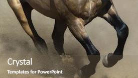  Presentation with horse - Beautiful slides featuring horses run - black legs of running dun backdrop and a tawny brown colored foreground