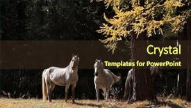  Presentation with dark forest - Colorful theme enhanced with horses taking rest on green backdrop and a tawny brown colored foreground