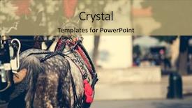  Presentation with horses - PPT layouts featuring horses tourist carriage for sightseeing background and a coral colored foreground