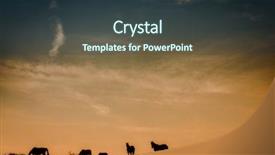  Presentation with horses - Beautiful presentation design featuring goldfish in the aquariumt on blue background backdrop and a light blue colored foreground