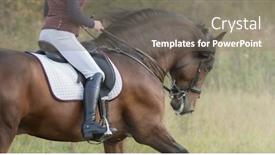  Presentation with horse riding - Colorful presentation theme enhanced with horsewoman-riding-horse-profile backdrop and a gray colored foreground