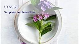  Presentation with ceramic - Presentation theme consisting of hortensia-flowers-on-ceramic-dishes background and a sky blue colored foreground