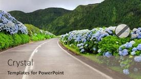  Presentation with road - PPT theme consisting of hortensias-on-the-road background and a mint green colored foreground