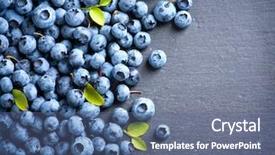  Presentation with horticulture - PPT theme enhanced with horticulture - blueberries background blueberry border design background and a ocean colored foreground