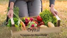  Presentation with horticulture - Presentation having horticulture - close up of woman holding background and a coral colored foreground
