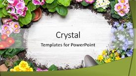  Presentation with horticulture - Colorful theme enhanced with horticulture - frame of spring flower backdrop and a white colored foreground