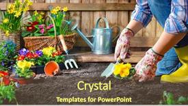  Presentation with horticulture - Presentation theme featuring horticulture - gardener planting flowers in sunny background and a tawny brown colored foreground