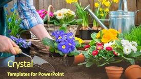  Presentation with horticulture - Slide deck having horticulture - gardeners hands planting flowers background and a tawny brown colored foreground