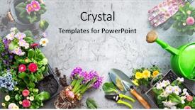  Presentation with horticulture - Beautiful PPT layouts featuring horticulture - gardening tools and spring flowers backdrop and a light gray colored foreground