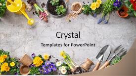  Presentation with horticulture - Slide deck with horticulture - gardening tools and spring flowers background and a light gray colored foreground