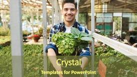  Presentation with happy image - Audience pleasing slide deck consisting of horticulture - image of a happy young backdrop and a tawny brown colored foreground