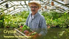  Presentation with straw - Cool new PPT layouts with horticulture - portrait of smiling senior gardener backdrop and a tawny brown colored foreground