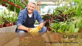  Presentation with horticulture - PPT theme with horticulture - smiling elderly gardener sitting background and a red colored foreground