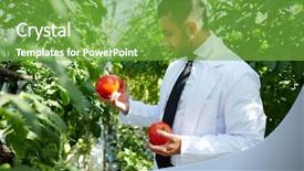  Presentation with horticulture - Beautiful presentation theme featuring horticulture - young hothouse staff in uniform backdrop and a seafoam green colored foreground