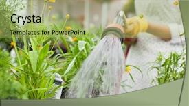  Presentation with flower pots - Slide deck with hose - midsection of female florist watering background and a mint green colored foreground
