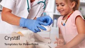  Presentation with veterinary - Cool new slides with hospital security - young girl helping veterinary care backdrop and a soft green colored foreground