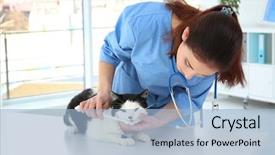  Presentation with serial killer colorful 3d teeth - Slide set enhanced with germs hospitals - veterinarian brushing cat's teeth background and a light blue colored foreground